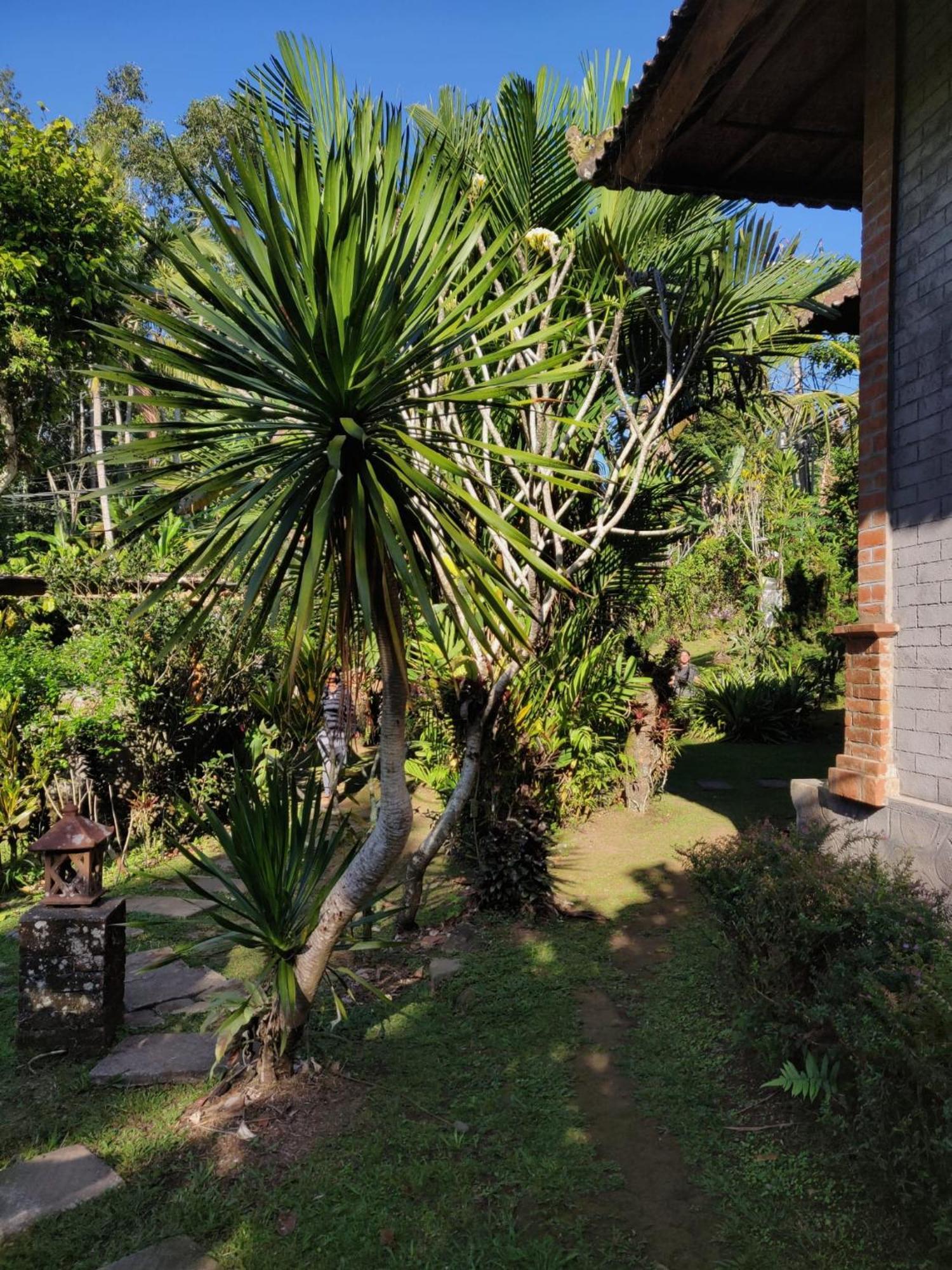 Dina Home Stay At Desa Wisata Wongayagede Jatiluwih Dış mekan fotoğraf
