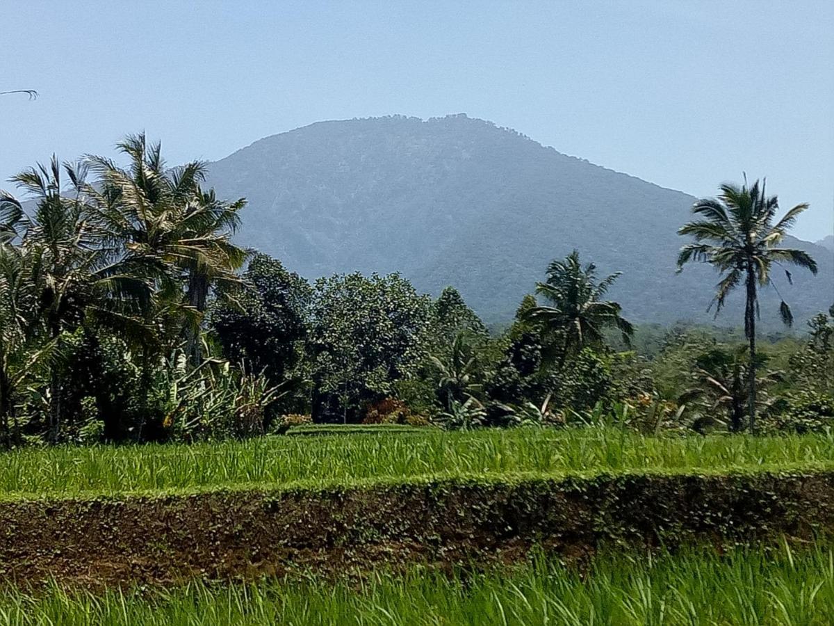 Dina Home Stay At Desa Wisata Wongayagede Jatiluwih Dış mekan fotoğraf